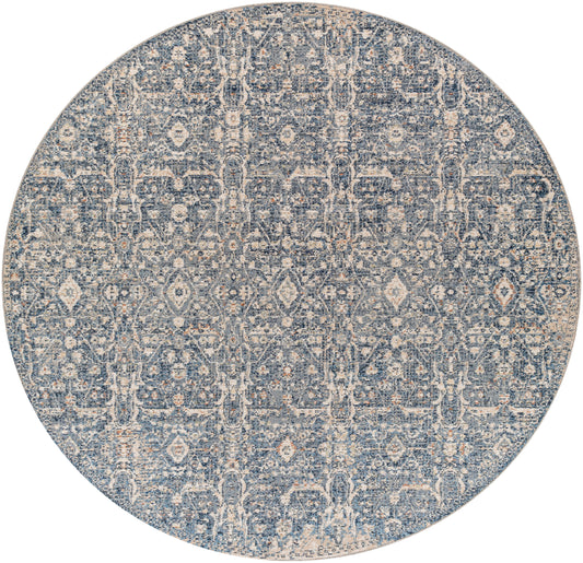 Amore 29651 Machine Woven Synthetic Blend Indoor Area Rug by Surya Rugs