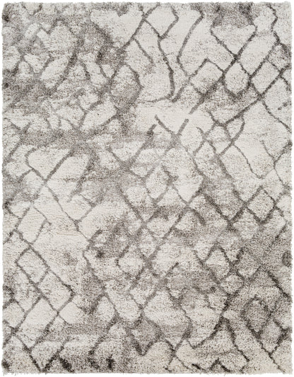 Alta shag 26997 Machine Woven Synthetic Blend Indoor Area Rug by Surya Rugs