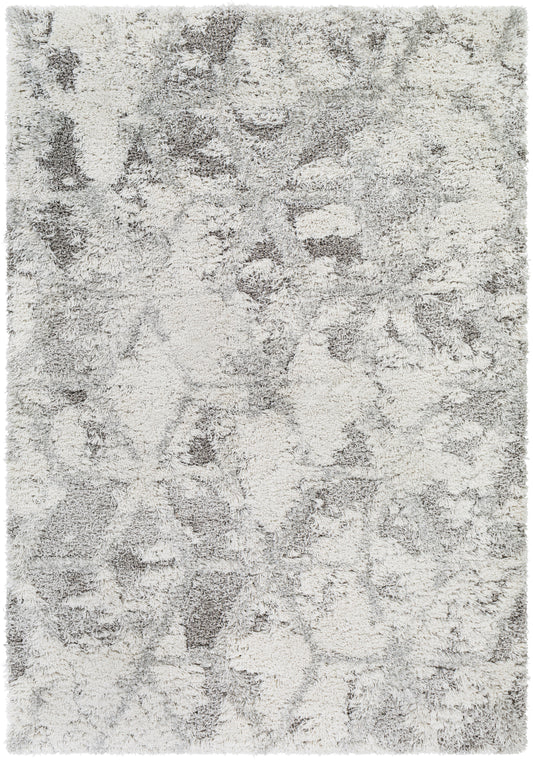 Alta shag 26999 Machine Woven Synthetic Blend Indoor Area Rug by Surya Rugs