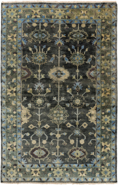 Antique 1151 Hand Knotted Wool Indoor Area Rug by Surya Rugs