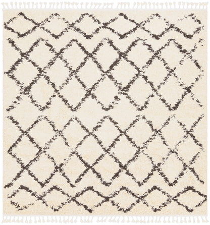 Berber Shag 21826 Machine Woven Synthetic Blend Indoor Area Rug by Surya Rugs