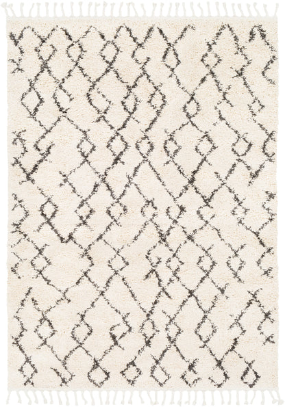 Berber Shag 21827 Machine Woven Synthetic Blend Indoor Area Rug by Surya Rugs