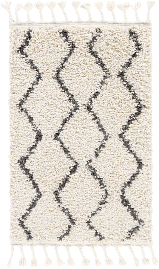 Berber Shag 21829 Machine Woven Synthetic Blend Indoor Area Rug by Surya Rugs