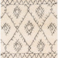 Berber Shag 22262 Machine Woven Synthetic Blend Indoor Area Rug by Surya Rugs