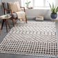 Blackburn 30374 Machine Woven Synthetic Blend Indoor Area Rug by Surya Rugs