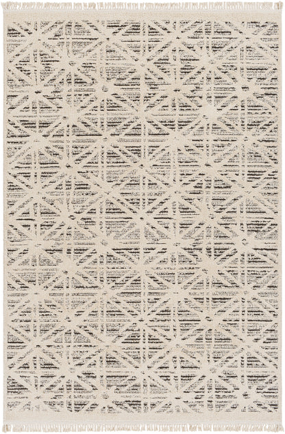 Berlin 31729 Machine Woven Synthetic Blend Indoor Area Rug by Surya Rugs
