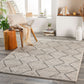 Cozy 30534 Machine Woven Synthetic Blend Indoor Area Rug by Surya Rugs