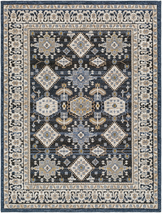 Delphi 31742 Machine Woven Synthetic Blend Indoor Area Rug by Surya Rugs