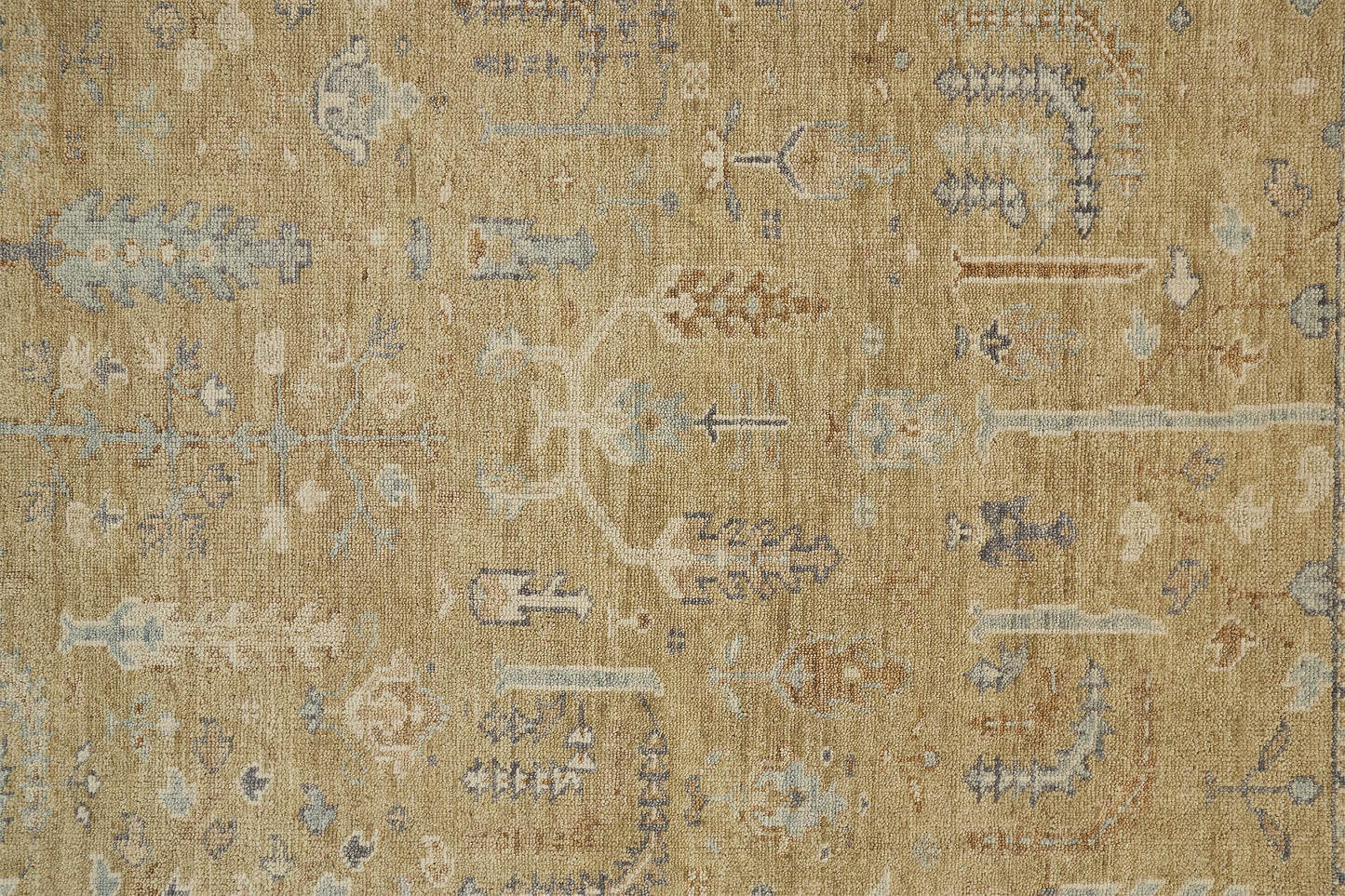 Carrington 6501F Hand Knotted Wool Indoor Area Rug by Feizy Rugs
