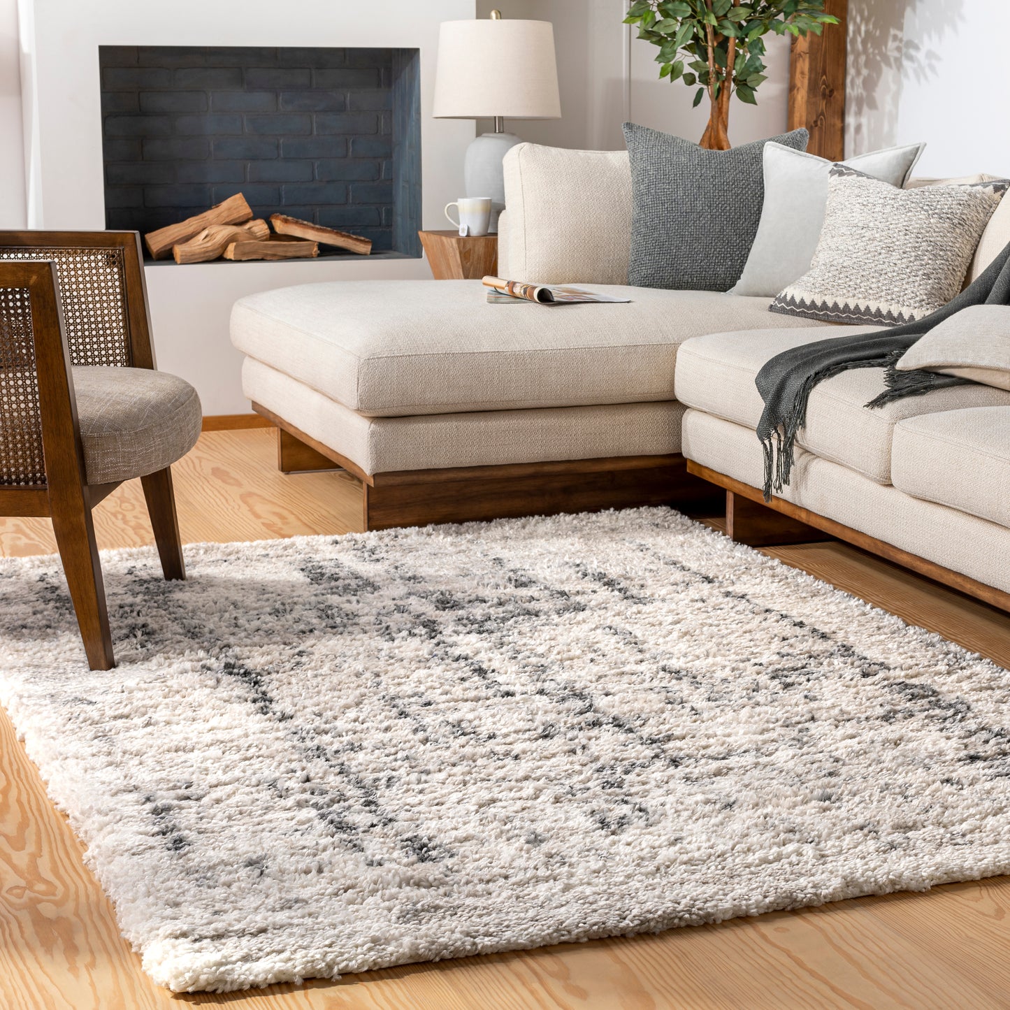 Eskimo Shag 29156 Machine Woven Synthetic Blend Indoor Area Rug by Surya Rugs