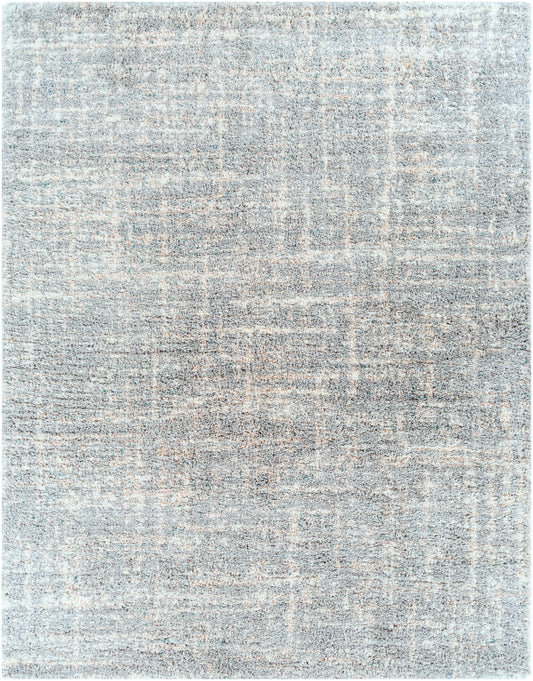 Eskimo Shag 29160 Machine Woven Synthetic Blend Indoor Area Rug by Surya Rugs