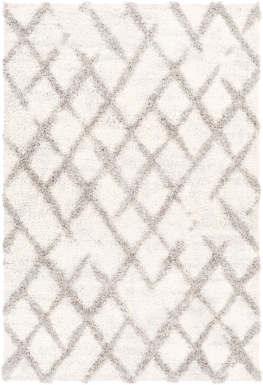 Everton 29123 Machine Woven Synthetic Blend Indoor Area Rug by Surya Rugs