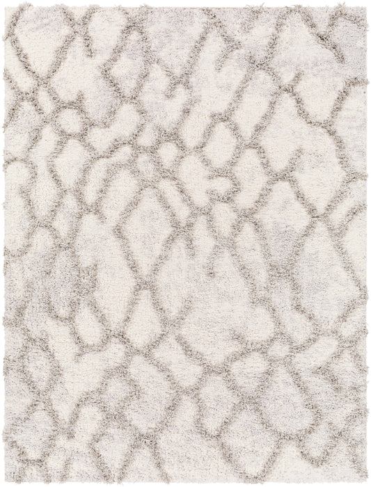 Everton 29126 Machine Woven Synthetic Blend Indoor Area Rug by Surya Rugs