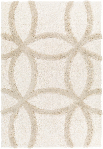 Hudson shag 30704 Machine Woven Synthetic Blend Indoor Area Rug by Surya Rugs