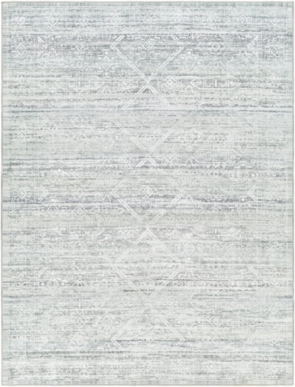 Hera 32340 Machine Woven Synthetic Blend Indoor Area Rug by Surya Rugs