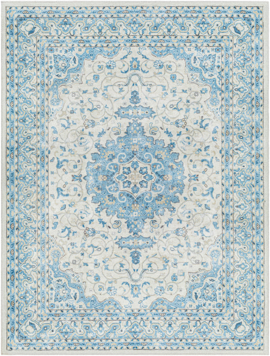 Hera 32343 Machine Woven Synthetic Blend Indoor Area Rug by Surya Rugs