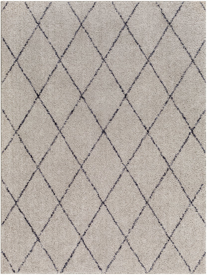 Lykke 32346 Machine Woven Synthetic Blend Indoor Area Rug by Surya Rugs
