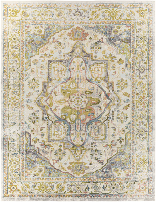 New Mexico 26436 Machine Woven Synthetic Blend Indoor Area Rug by Surya Rugs