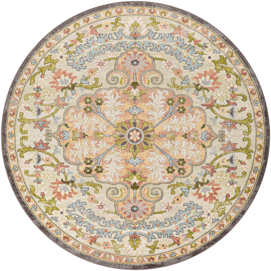 New Mexico 27050 Machine Woven Synthetic Blend Indoor Area Rug by Surya Rugs