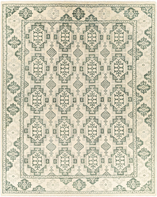 Palais 29251 Hand Knotted Wool Indoor Area Rug by Surya Rugs | Area Rug