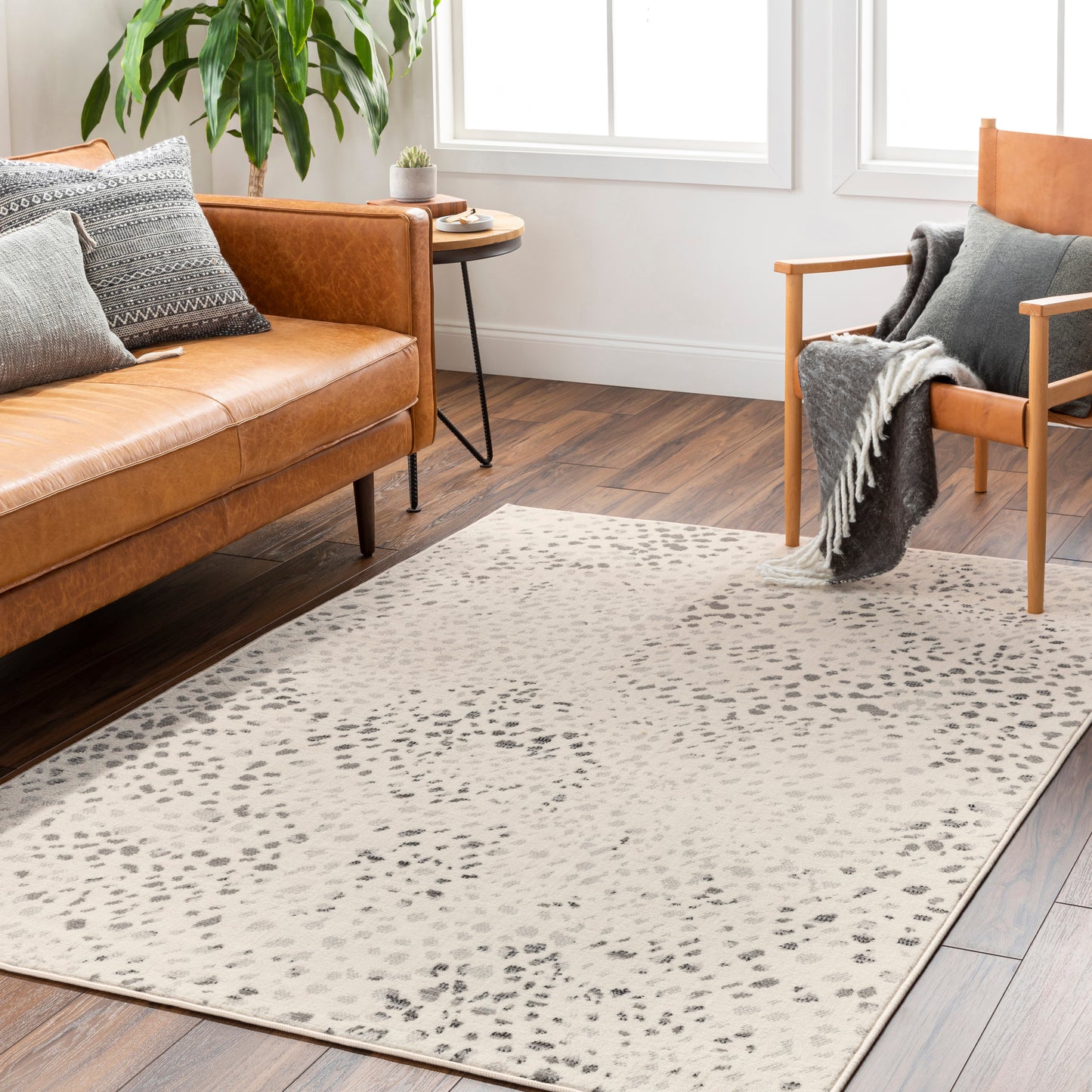 Pisa 31239 Machine Woven Synthetic Blend Indoor Area Rug by Surya Rugs