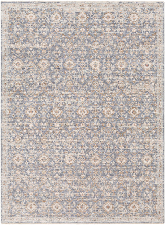 Palazzo 24355 Machine Woven Synthetic Blend Indoor Area Rug by Surya Rugs