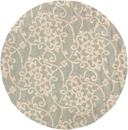 Rain 562 Hand Hooked Synthetic Blend Indoor/Outdoor Area Rug by Surya Rugs