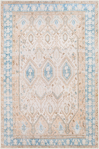 Regen 30097 Machine Woven Synthetic Blend Indoor Area Rug by Surya Rugs