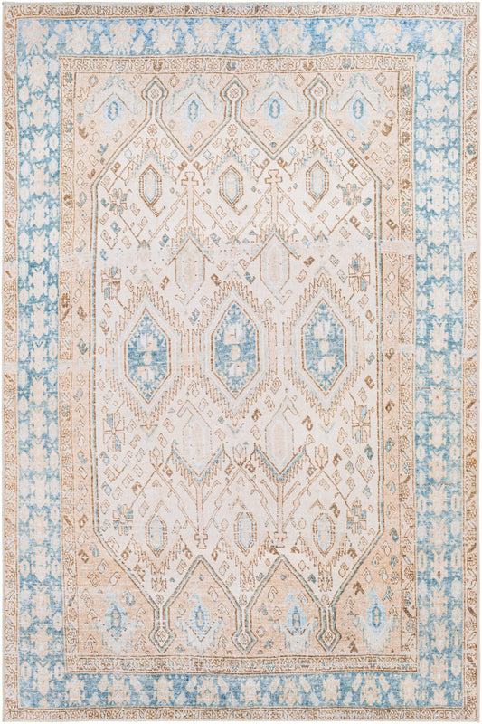 Regen 30097 Machine Woven Synthetic Blend Indoor Area Rug by Surya Rugs