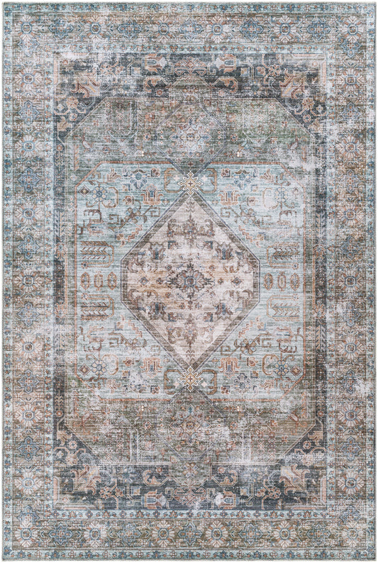 Regen 30325 Machine Woven Synthetic Blend Indoor Area Rug by Surya Rugs