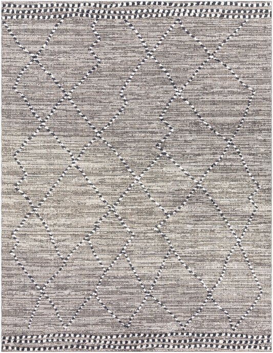 Ariana 24958 Machine Woven Synthetic Blend Indoor/Outdoor Area Rug by Surya Rugs